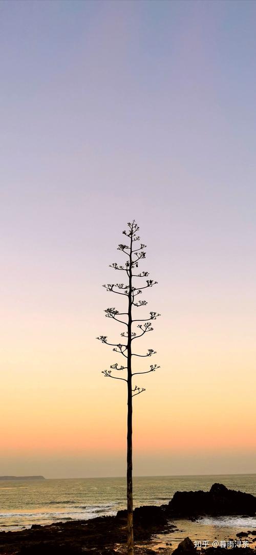 一个手机号可以注册几个qq账号